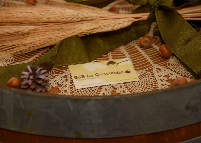 B&B Le Coccinelle
