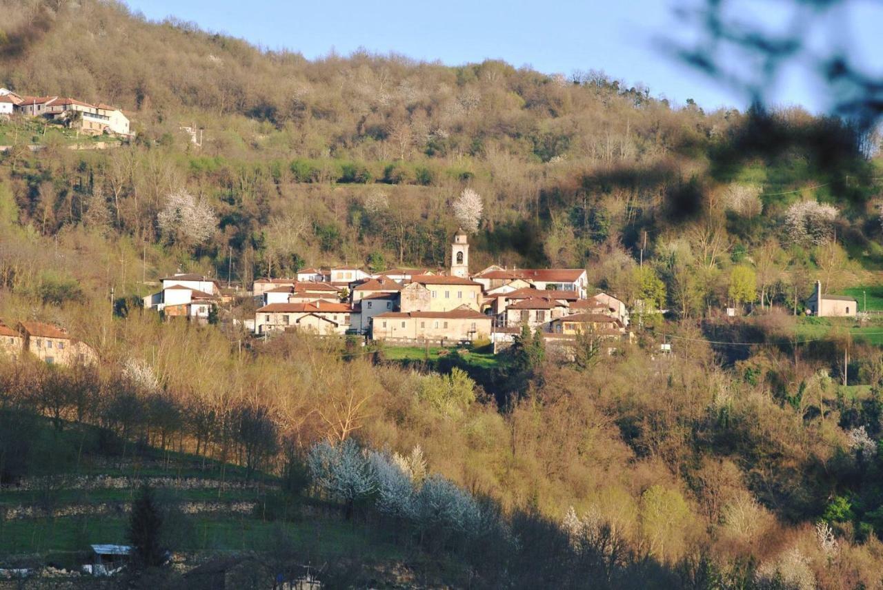 Le Coccinelle